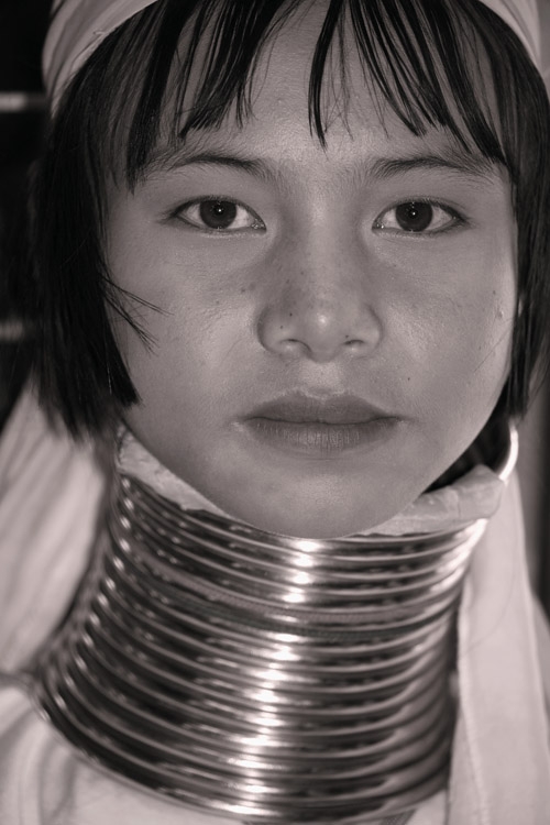 swa8v3227.jpg
