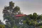 mrauk oo house on treetop, of the tree ssbwa8v1640_38_39_small.jpg