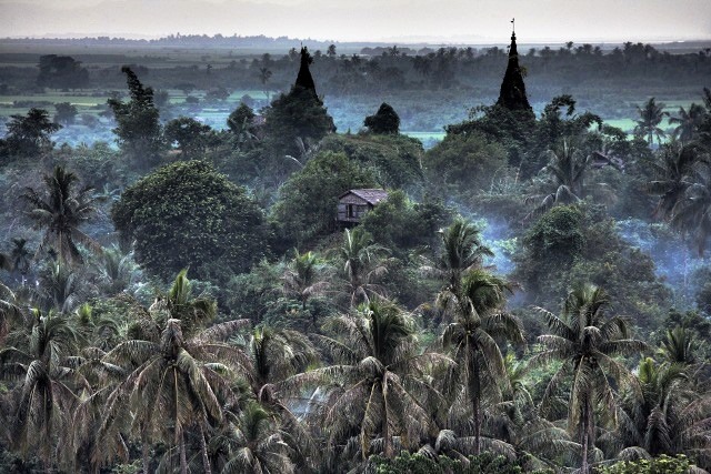 mrauk oo palms and house at sunset, blue sssbwa8v2098_6_7.jpg