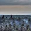 mrauk oo palms and trees after sunset, blue ssbwa8v2102_3_4_small.jpg