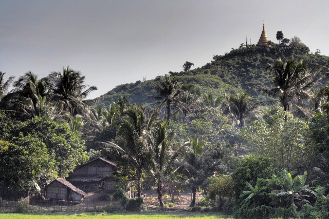 mrauk oo palms and temple in the sun  sssbwa8v2286_4_5.jpg