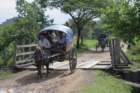 mrauk oo horse cart crossing small bride ssbwa8v2475_small.jpg