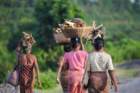 mrauk oo 3 women carrying baskets on the head ssbwa8v2755_small.jpg